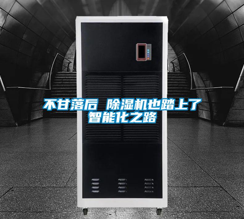 不甘落后 除濕機也踏上了智能化之路