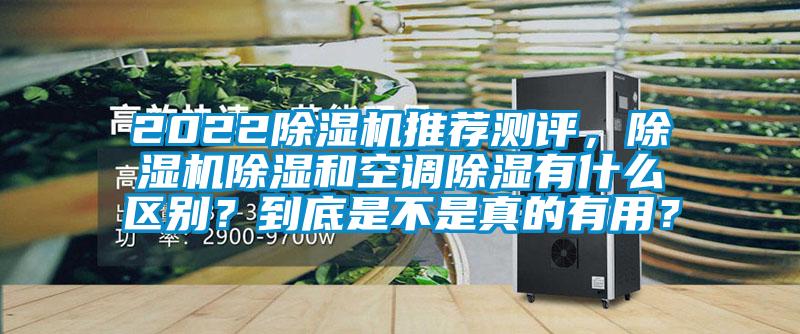 2022除濕機推薦測評，除濕機除濕和空調除濕有什么區別？到底是不是真的有用？