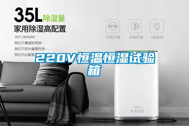 220V恒溫恒濕試驗箱