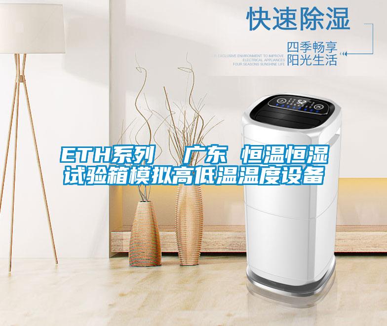 ETH系列  廣東 恒溫恒濕試驗(yàn)箱模擬高低溫溫度設(shè)備