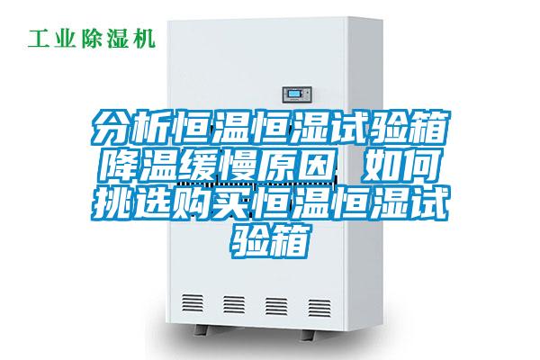 分析恒溫恒濕試驗(yàn)箱降溫緩慢原因 如何挑選購買恒溫恒濕試驗(yàn)箱