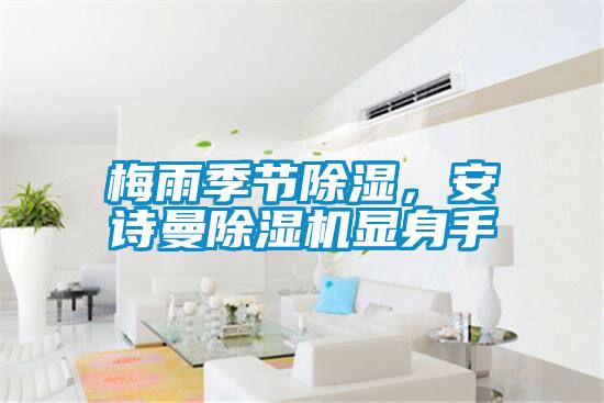 梅雨季節除濕，安詩曼除濕機顯身手