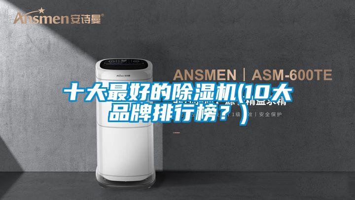 十大最好的除濕機(10大品牌排行榜？)