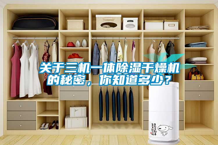 關于三機一體除濕干燥機的秘密，你知道多少？