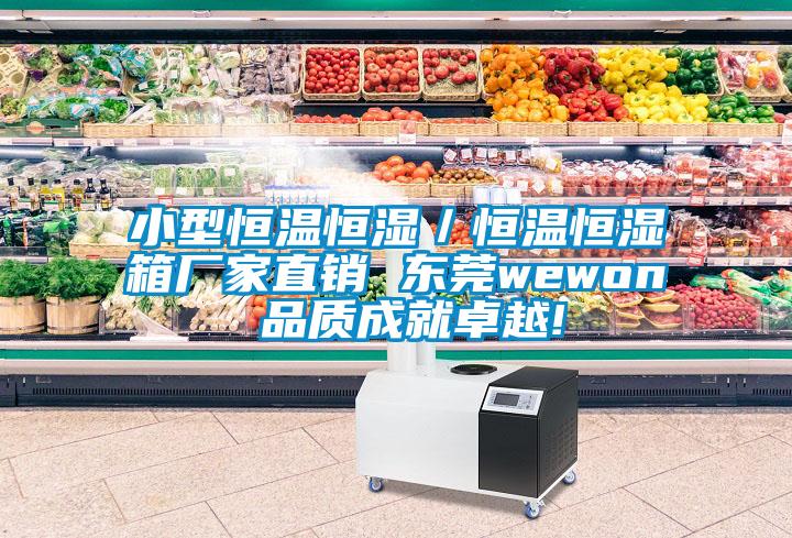 小型恒溫恒濕／恒溫恒濕箱廠家直銷 東莞wewon 品質(zhì)成就卓越!