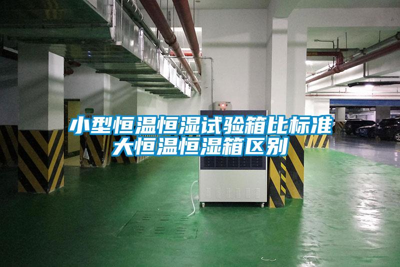 小型恒溫恒濕試驗箱比標準大恒溫恒濕箱區(qū)別