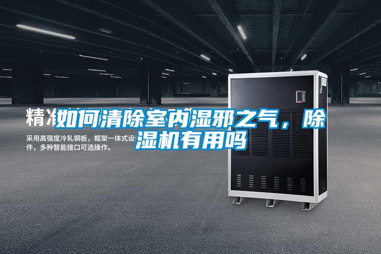 如何清除室內(nèi)濕邪之氣，除濕機有用嗎