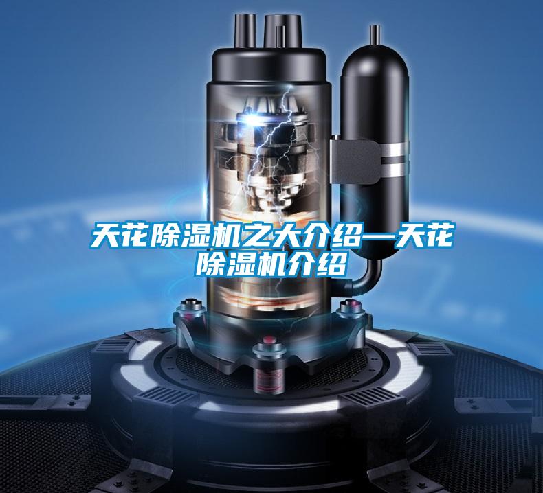 天花除濕機之大介紹—天花除濕機介紹
