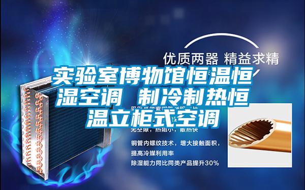 實驗室博物館恒溫恒濕空調(diào) 制冷制熱恒溫立柜式空調(diào)