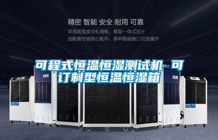 可程式恒溫恒濕測(cè)試機(jī) 可訂制型恒溫恒濕箱