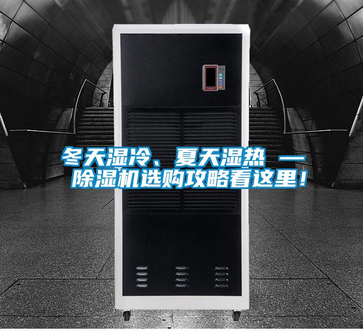 冬天濕冷、夏天濕熱 — 除濕機選購攻略看這里！