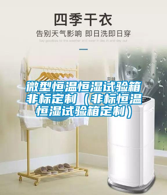微型恒溫恒濕試驗箱非標定制（非標恒溫恒濕試驗箱定制）