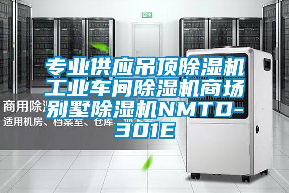 專業供應吊頂除濕機工業車間除濕機商場別墅除濕機NMTD-301E