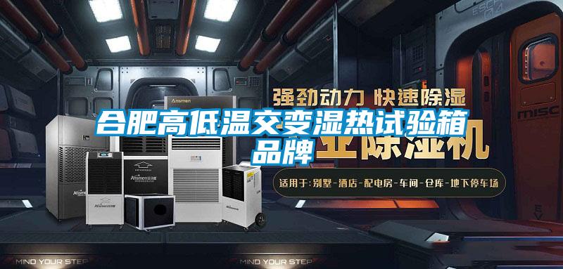 合肥高低溫交變濕熱試驗箱品牌