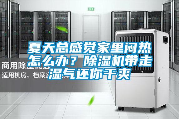 夏天總感覺家里悶熱怎么辦？除濕機(jī)帶走濕氣還你干爽