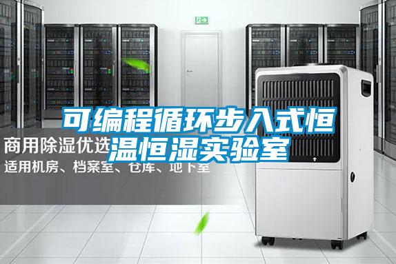 可編程循環(huán)步入式恒溫恒濕實(shí)驗(yàn)室