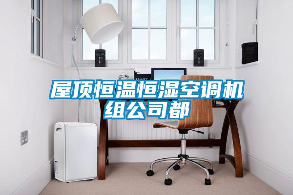屋頂恒溫恒濕空調機組公司都