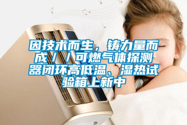 因技術而生，鑄力量而成／／可燃氣體探測器閉環高低溫、濕熱試驗箱上新中
