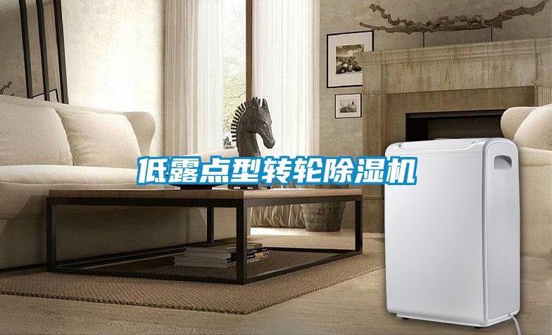 低露點型轉(zhuǎn)輪除濕機