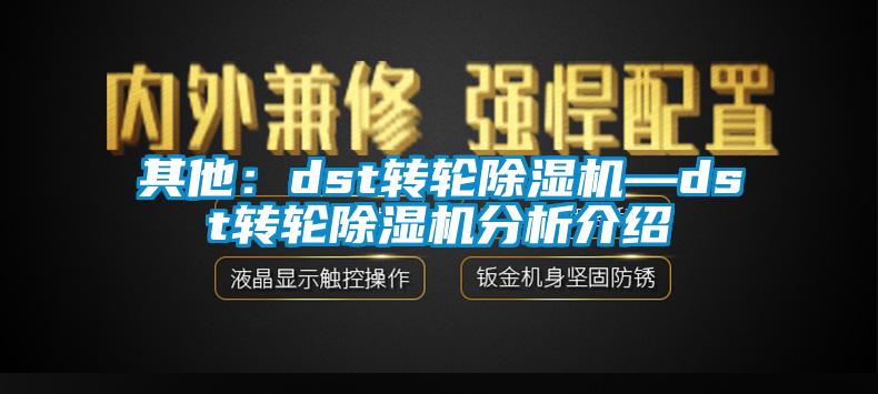 其他：dst轉輪除濕機—dst轉輪除濕機分析介紹