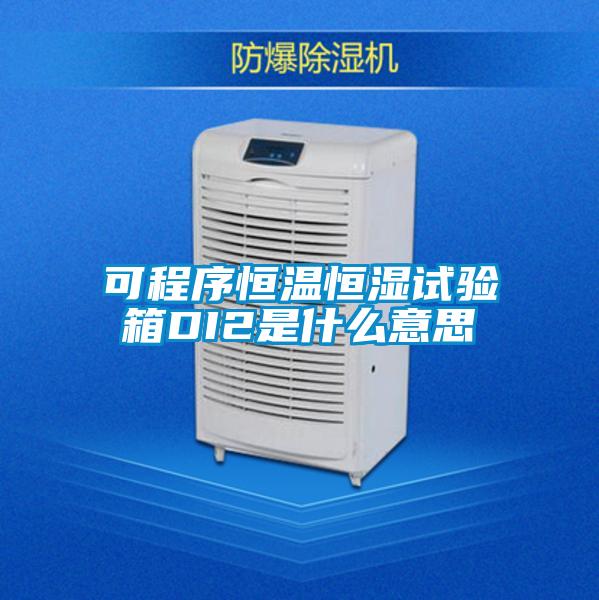 可程序恒溫恒濕試驗(yàn)箱DI2是什么意思