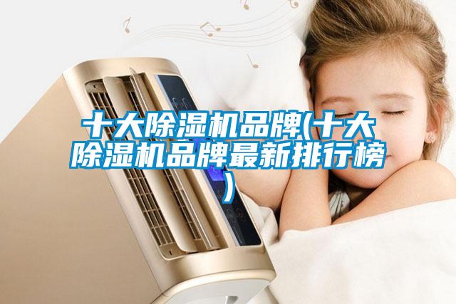 十大除濕機品牌(十大除濕機品牌最新排行榜)