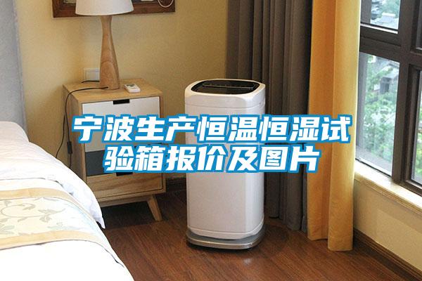 寧波生產恒溫恒濕試驗箱報價及圖片