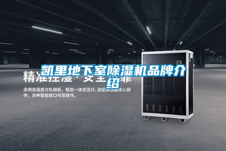 凱里地下室除濕機品牌介紹