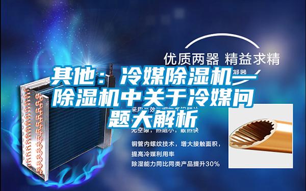 其他：冷媒除濕機—除濕機中關(guān)于冷媒問題大解析