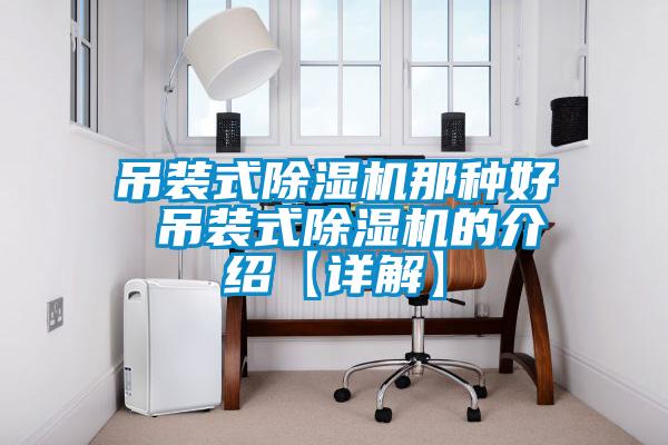 吊裝式除濕機那種好 吊裝式除濕機的介紹【詳解】
