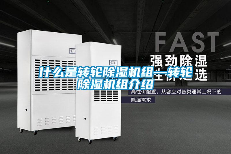 什么是轉輪除濕機組—轉輪除濕機組介紹