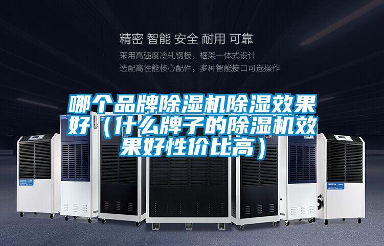 哪個品牌除濕機除濕效果好(什么牌子的除濕機效果好性價比高)