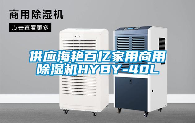 供應海艷百億家用商用除濕機HYBY-40L