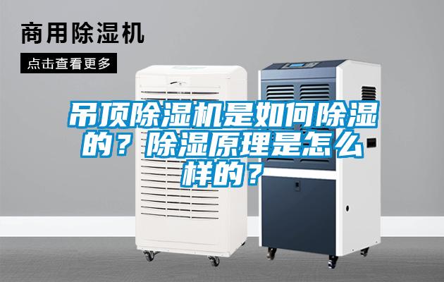 吊頂除濕機是如何除濕的？除濕原理是怎么樣的？