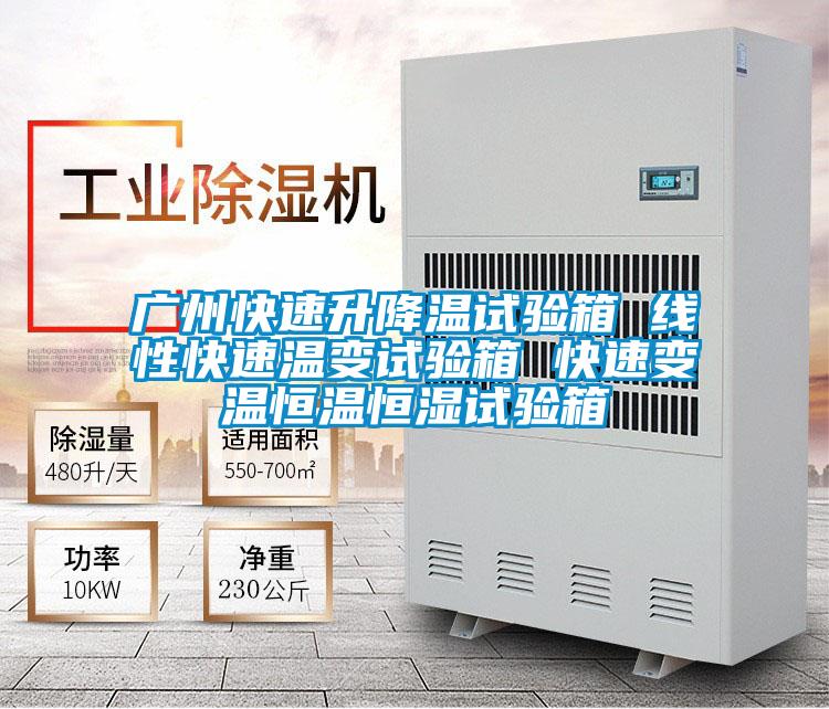 廣州快速升降溫試驗(yàn)箱 線性快速溫變試驗(yàn)箱 快速變溫恒溫恒濕試驗(yàn)箱