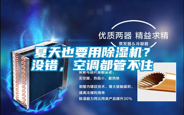 夏天也要用除濕機(jī)？沒錯(cuò)，空調(diào)都管不住