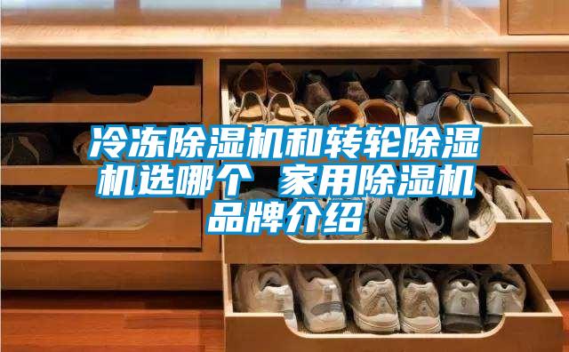 冷凍除濕機和轉輪除濕機選哪個 家用除濕機品牌介紹