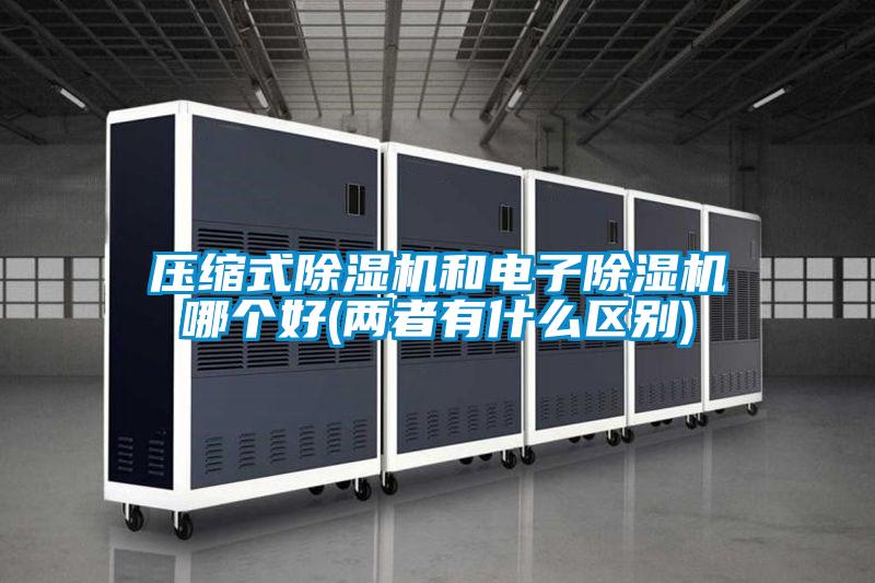 壓縮式除濕機和電子除濕機哪個好(兩者有什么區別)