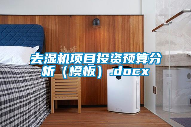 去濕機項目投資預算分析（模板）.docx