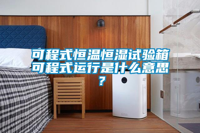 可程式恒溫恒濕試驗箱可程式運行是什么意思？