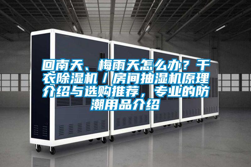 回南天、梅雨天怎么辦？干衣除濕機／房間抽濕機原理介紹與選購推薦，專業(yè)的防潮用品介紹