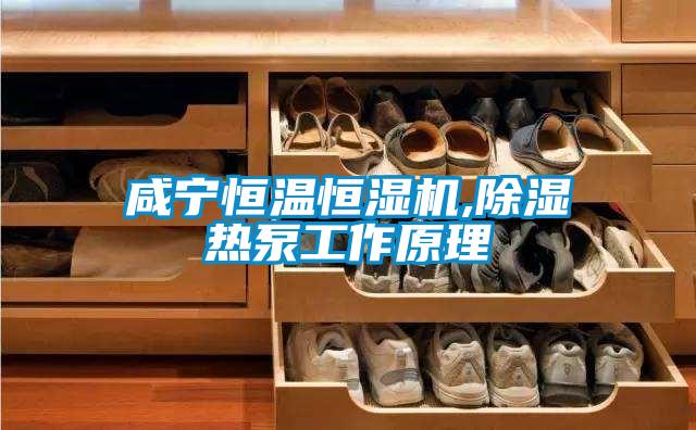 咸寧恒溫恒濕機,除濕熱泵工作原理