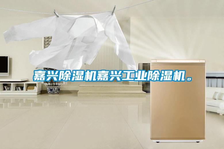 嘉興除濕機嘉興工業除濕機。