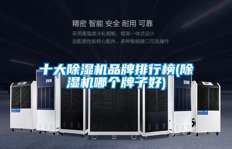 十大除濕機品牌排行榜(除濕機哪個牌子好)