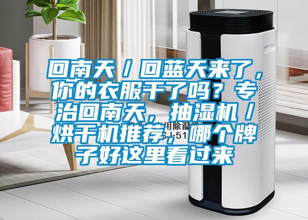回南天／回藍(lán)天來了，你的衣服干了嗎？專治回南天，抽濕機(jī)／烘干機(jī)推薦，哪個牌子好這里看過來