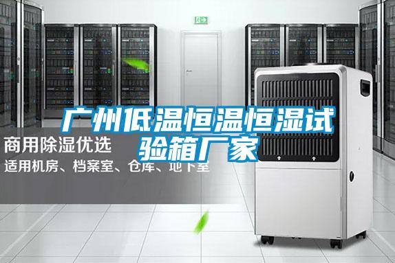 廣州低溫恒溫恒濕試驗(yàn)箱廠家
