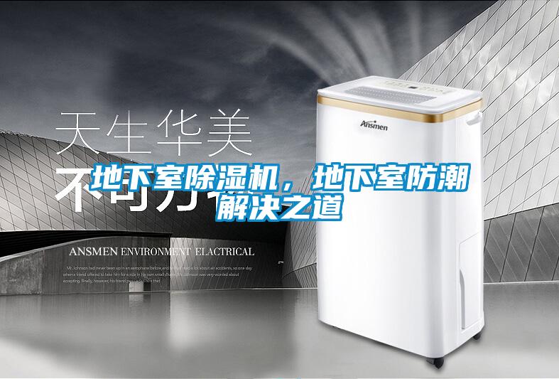 地下室除濕機，地下室防潮解決之道