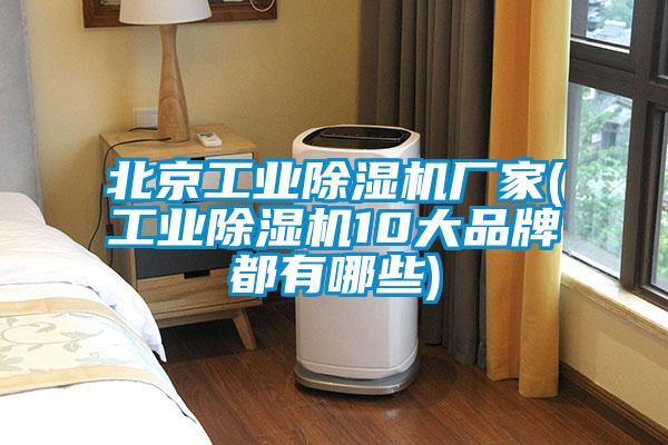 北京工業除濕機廠家(工業除濕機10大品牌都有哪些)