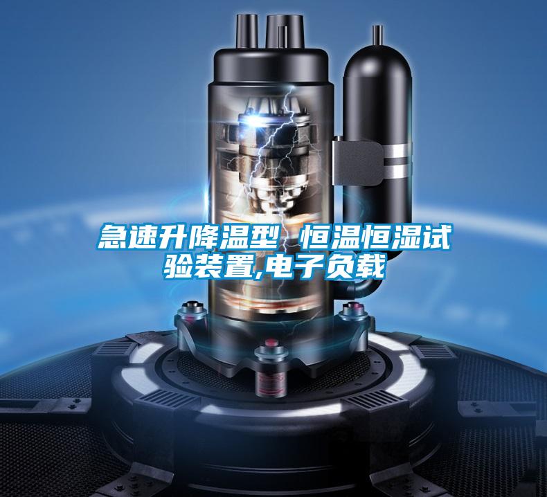急速升降溫型 恒溫恒濕試驗(yàn)裝置,電子負(fù)載