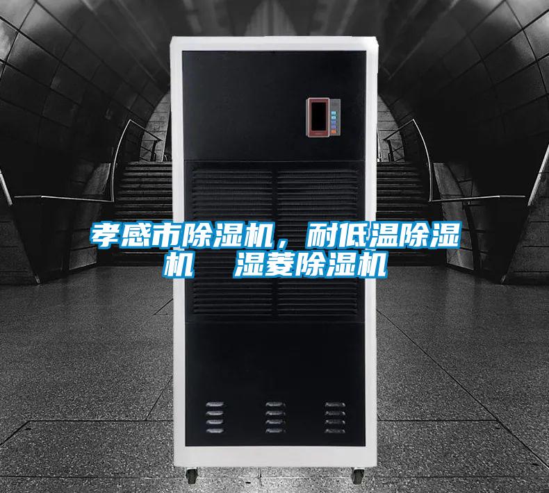 孝感市除濕機，耐低溫除濕機  濕菱除濕機